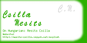 csilla mesits business card